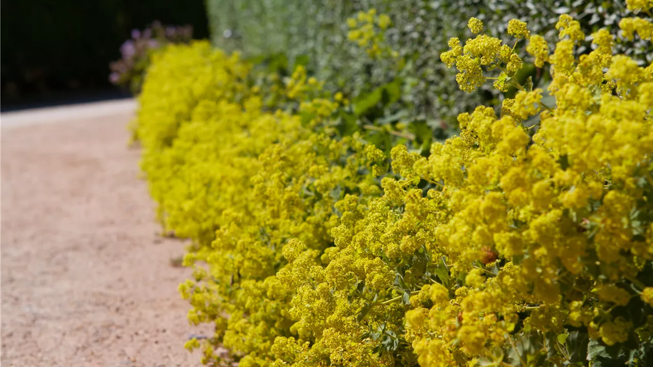 Blackbox-Gardening – die kreative Idee mit den großen Überraschungseffekten