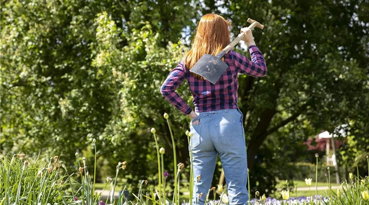 Der Gartenboden – jeder braucht mal Unterstützung