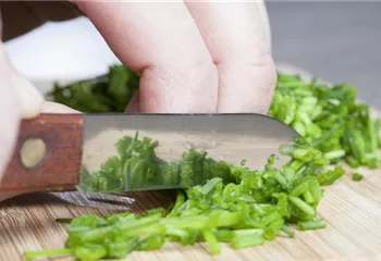 Kochen mit Kräutern aus dem Garten