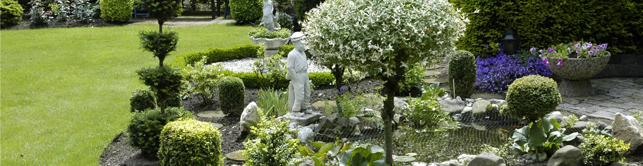 Bäume pflanzen – so wird der Garten groß