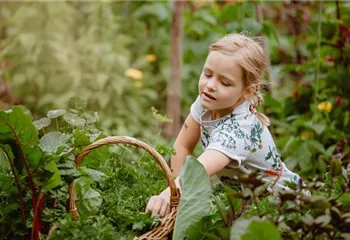 Jetzt kann geerntet werden! Kinder spielerisch einbeziehen