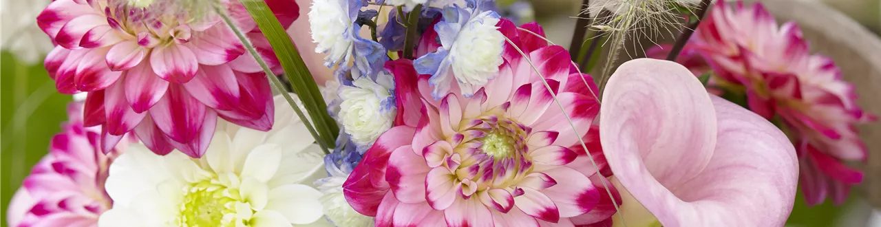 Beauty-Kur für den Blumenstrauß: Pülverchen und Hausmittel