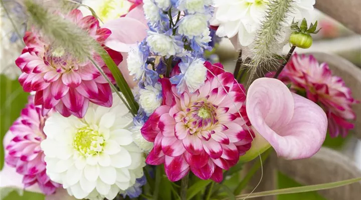 Beauty-Kur für den Blumenstrauß: Pülverchen und Hausmittel