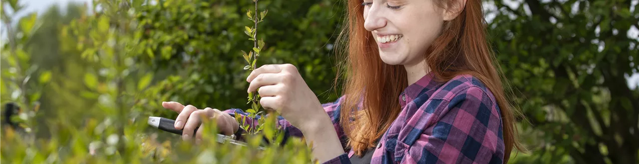 Diese Arbeiten sind jetzt im Garten noch nötig