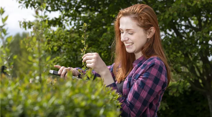 Diese Arbeiten sind jetzt im Garten noch nötig