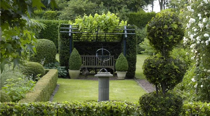 Auf die Form gekommen – Formgehölze im Garten