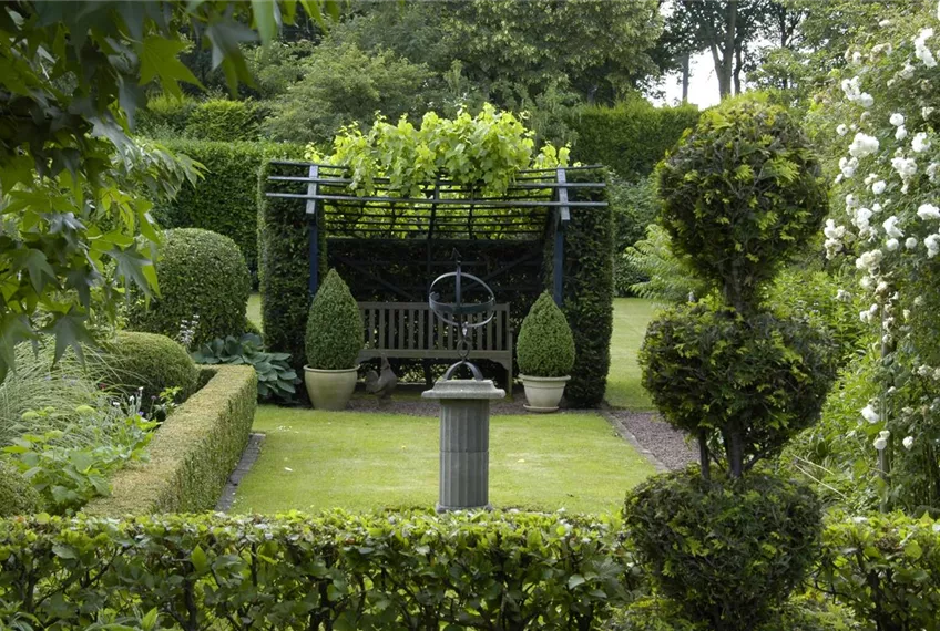 Auf die Form gekommen – Formgehölze im Garten