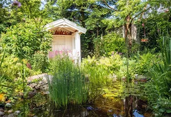 Schädlinge und Krankheiten an Wasserpflanzen erkennen