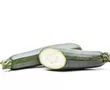 Zucchini