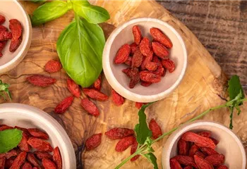 Goji-Beeren – Superfood aus Fernost im eigenen Garten