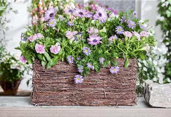 Frühling, Sommer, Herbst, Winter: der Balkon ist immer ein schöner Anblick