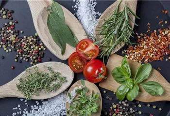 Küchenkräuter schmecken frisch von der Fensterbank am besten