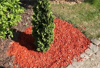 Mulch - Einsatz im Garten