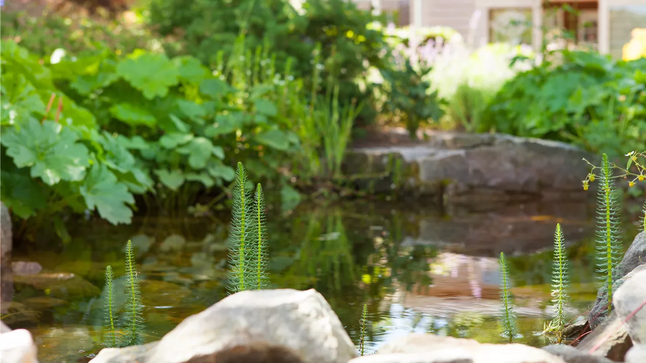 Findlinge im Garten - Sitzgelegenheit, Wasserfall oder Dekoelement