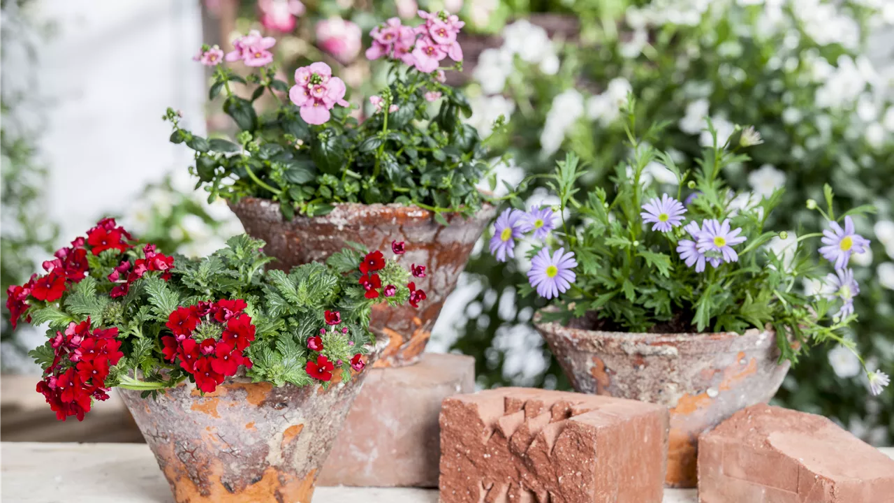 Der ganz große Stil im Garten - eine Anleitung für Menschen mit Liebe zu Effekten