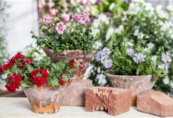 Der ganz große Stil im Garten - eine Anleitung für Menschen mit Liebe zu Effekten